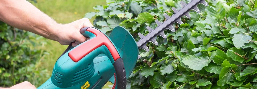 Person schneidet Hecke mit elektrischer Heckenschere